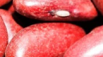 El consumo de soja roja esta altamente recomendado para dietas veganas y para deportistas.