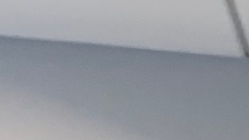 Inmigrantes acuden en masa a tramitar sus licencias en primer día de la nueva ley en Nueva York