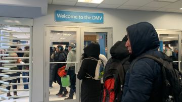 Inmigrantes acuden en masa a tramitar sus licencias en primer día de la nueva ley en Nueva York