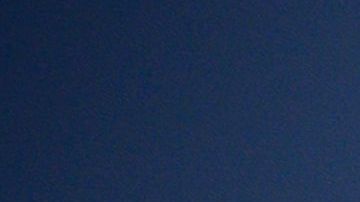 Juguetes "Baby Shark"