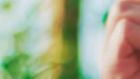 Foto; JESHOOTS-com /Pixabay