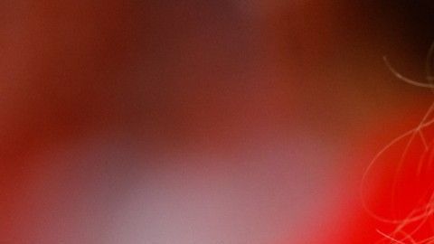 La novia del mariscal lamentó el mal momento que vivió en el Gillette Stadium.