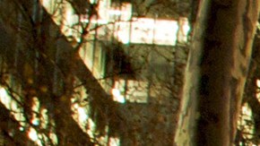 Bryant Park Holiday Market