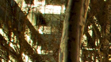 Bryant Park Holiday Market