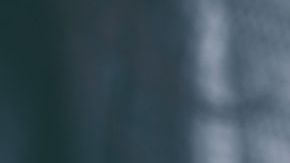 El café es una de las bebidas más populares, tanto que se consumen 400 000 millones de tazas diariamente en todo el mundo.