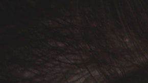 Conducir con un teléfono en mano pudiera manchar tu historial de manejo permanentemente