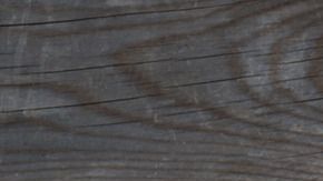 salsa cacahuate-canva