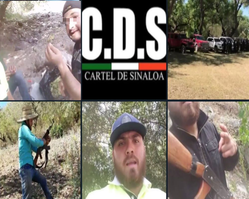 Halcones Y Mulas Del Cártel De Sinaloa Caen Por Transportar Droga A