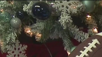 El ladrón se llevó varias cajas