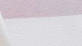 El secretario interino, Chad Wolf, rechaza que se otorgue licencias a indocumentados.