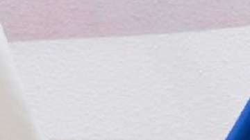 El secretario interino, Chad Wolf, rechaza que se otorgue licencias a indocumentados.