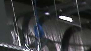 Los doctores alertan de la amenaza de la influenza a la salud pública.