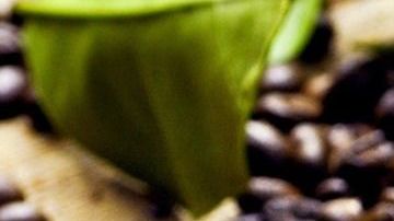 El consumo de café puro es altamente recomendado para promover la quema de grasas y calorías.