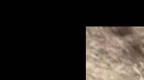 El derrame ocurrió sobre la I-696.