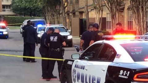 Los 800 incidentes en Fort Worth, 100 están relacionados a robo de autos.
