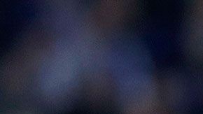 Andrés Guardado tuvo que mirar el partido desde las gradas, debido a que tuvo un partido de suspensión.