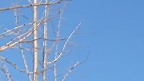 El taxista dominicano Ramón Camacho espera hacerse su agosto en el fin de las fiestas