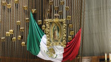 La Virgen de Guadalupe se encuentra en la CDMX.