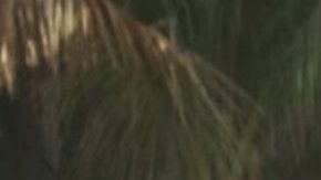 Los protagonistas de Star Wars: El ascenso de Skywalker