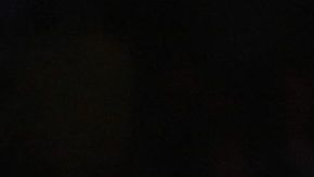 Julio César Chávez Jr.