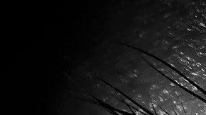 Aline Berry-ojo-ciego-pixabay