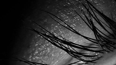 Aline Berry-ojo-ciego-pixabay