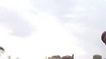 Ejército Zapatista de Liberación Nacional.