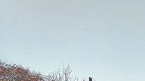 La policía y el ejército mexicano hicieron frente a los atacantes.