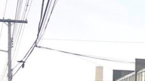 Cientos de personas hicieron fila en las afueras de la Oficina de Motores y Vehículos de College Point, en Queens, en otras oficinas de NYC.