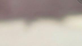 Anteriormente, el millonario solicitó a una asistente personal a la que le pagaría $52,000 dólares.