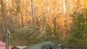 Hogar y autos afectados por las llamas