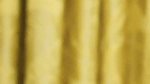 La imagen en pocos minutos cautivó a los internautas