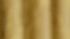 El presidente Trump habló del huracán Florence.