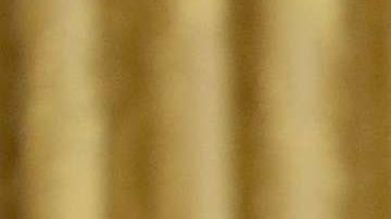 El presidente Trump habló del huracán Florence.