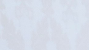 El Papa Francisco y el presidente de Colombia Iván Duque.