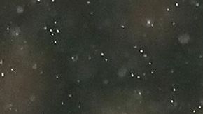 Jiménez ha anotado 8 goles en lo que va de la campaña.