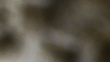 Desde la administración defienden "predicar con el ejemplo" para otros empleadores.