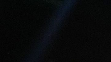 Esta es la imagen de la proeza de Andy Ruiz contra Anthony Joshua que quería replicar en su tatuaje un aficionado.