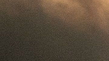 Millones sufren las consecuencias del cambio climático.