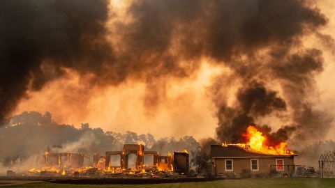 Millones sufren las consecuencias del cambio climático.