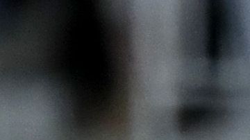 Josh Donaldson le dio una sorpresa mayúscula a su mamá.