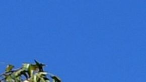 "Todos somos soñadores".