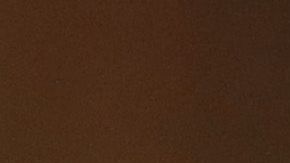 Doug Collins ha defendido que Adam Schiff debe ser el primero en declarar.