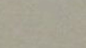 Los jóvenes aprovecharon una pelea para escaparse.