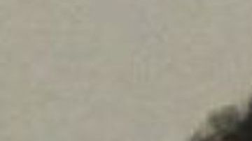 Los jóvenes aprovecharon una pelea para escaparse.