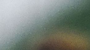 'La loba' venció al Central Córdoba.