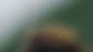 'La loba' venció al Central Córdoba.