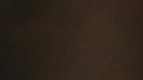 La primera hija Ivanka Trump.