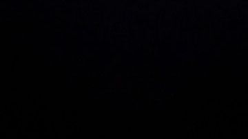 Deontay Wilder está a favor de la unificación de los títulos en el peso pesado.