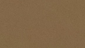 Los expertos constitucionalistas Noah Feldman, Pamela S. Karlan y Michael Gerhardt apoyaron el juicio político; Jonathan Turley rechaza que haya elementos suficientes.